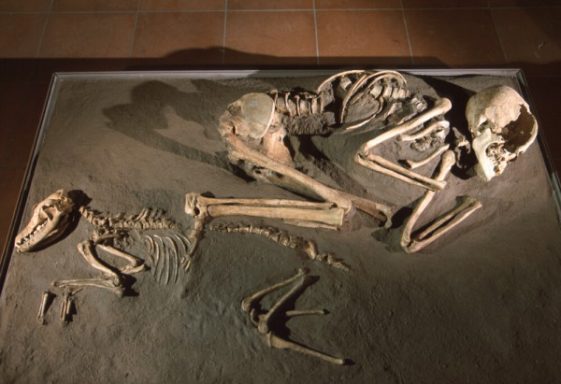 Ripoli Woman and dog - 7000 ybp